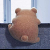 杨林露