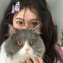 不想写代码