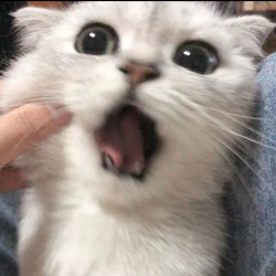 熊彩琴