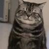 郭琦