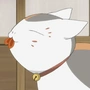 我是猫咪老师
