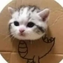 步白