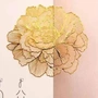 花幽俩
