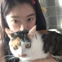 小白