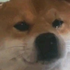 AYok