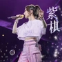 凌晨一点的猫