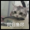 年轻的选手