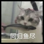 年轻的选手