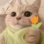 淡妆尤艳