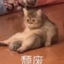 Crazy拖拖