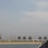 lanqiao1