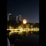 暴力男大