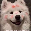 我鬼混回来咯
