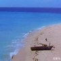 李亦航