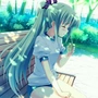 圆头耄耋