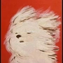 关子祏