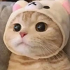 回首难觅旧时光