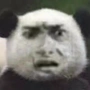 7B外卖守护者