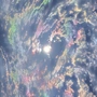 www