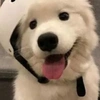 哎呦