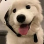 哎呦