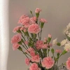 灵犀