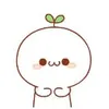 小白本白